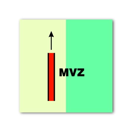 Знак ИМО «Главная вертикальная зона»